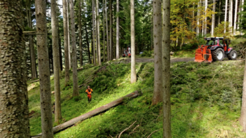 So einfach geht's :-)