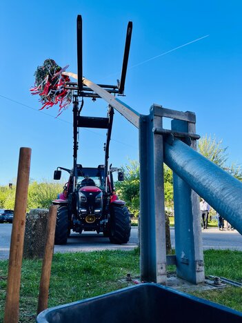 Maibaum Challenge