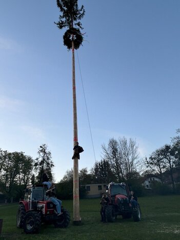 Maibaum Kaumberg 😉 gesponsert von Lunzer 🫶🏼