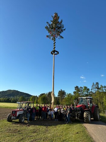 Maibaum 2026