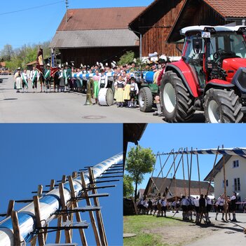 Epfacher Maibaum 2026