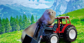 Gemma Traktor foahr'n Gemma Traktor foahr'n