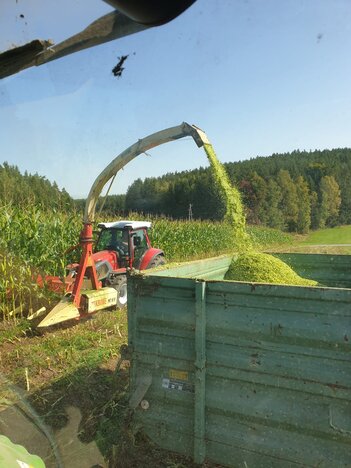 Lintrac 90 mit KRONE Maismex