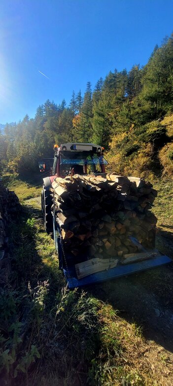 Lindner Geotrac 84 beim Holztransport????