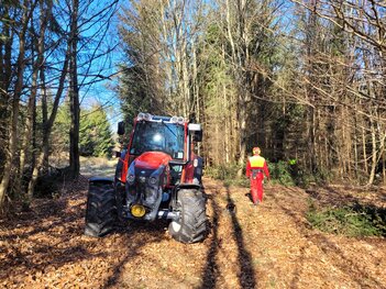 Lindner im Walde Lindner im Walde
