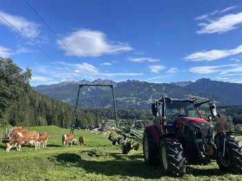 3 Schnitt Lintrac 80 mit Krone swadro tc 640