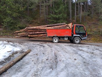 Lindner beim holzfahren