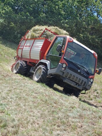 Lindner bei Heuernte