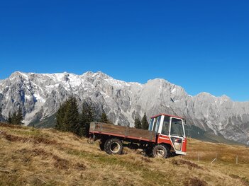 Lindnermuli T3500 Bj.1988 Lindnermuli T3500 Bj.1988