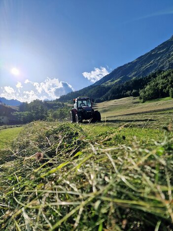 Lindner bei der Arbeit