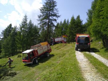 Heuernte Lärchwiese