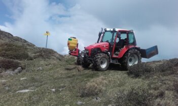 Auf der Alm Auf der Alm
