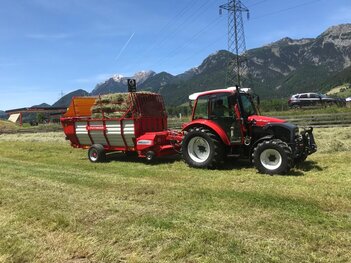 schönste Zeit im Jahr