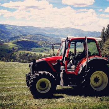 Lindner im Schwarzwald