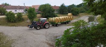 Ballentransport