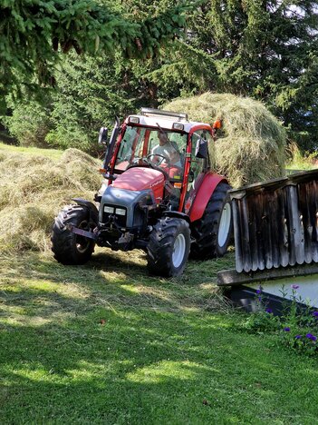 Heuernte in den Bergen Lindner Geo73