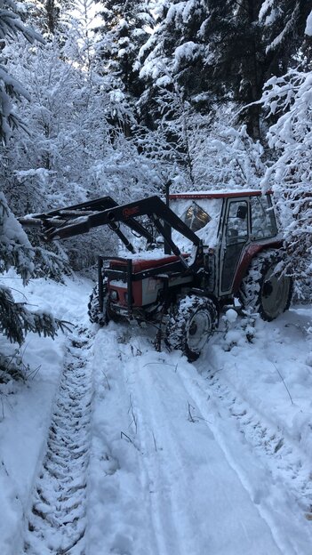Zuverlässiger Begleiter