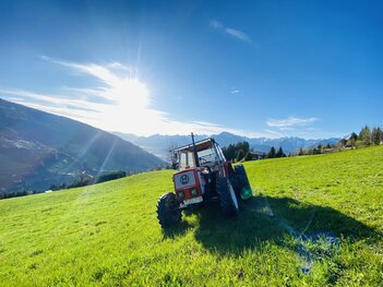 Wiesenpflege hoch über dem Inntal
