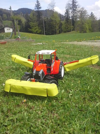 Selbst gemachtes modell