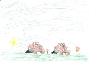 Mila´s Traktoren im Feld