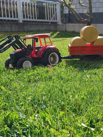 Der erste  Schnitt 2025