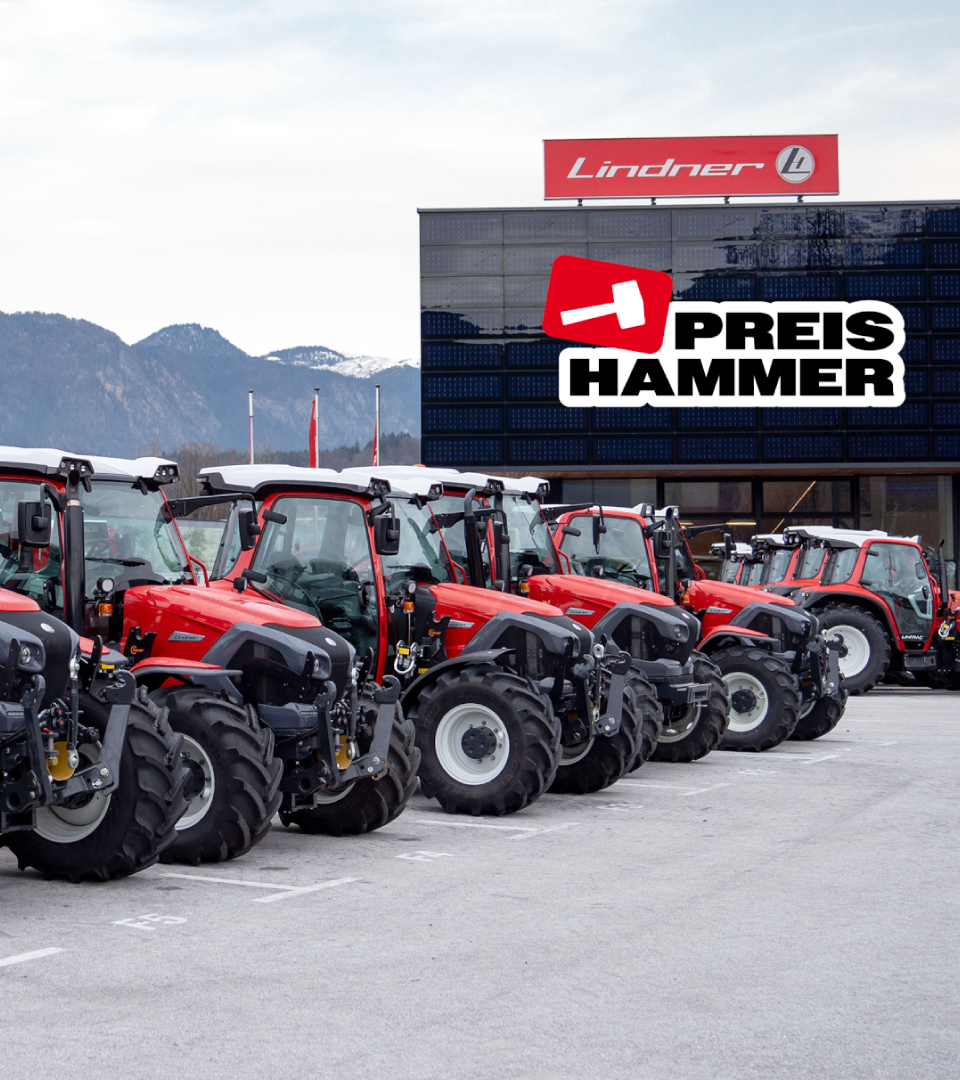 Top VorFührer zu Hammer-Preisen