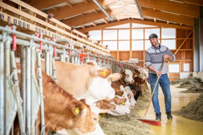 &quot;Ochs am Berg&quot; Logo