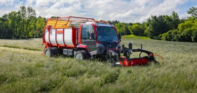 Insektenfreundliches Mähen Logo