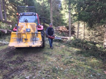 Stark im Forst
