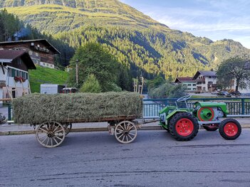 Fertig für den Umzug beim Almabtrieb Steeg 2019