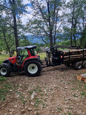 Lintrac 70 beim Holztransport