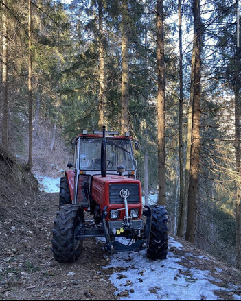 Lindner 1065 im wald