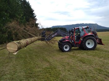Lintrac 75 LS im Wald Lintrac 75 LS im Wald